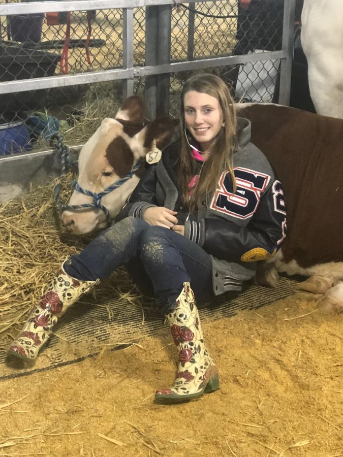 FFA President junior Brittany Creacy rests with her heifer Gracie at the Texas State Fair.