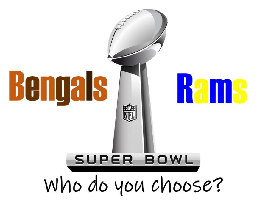 Super Bowl predictions